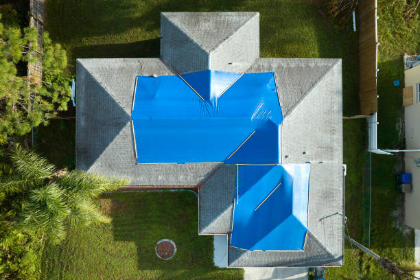 Best Solar Panel Roofing Installation  in El Rancho, NM
