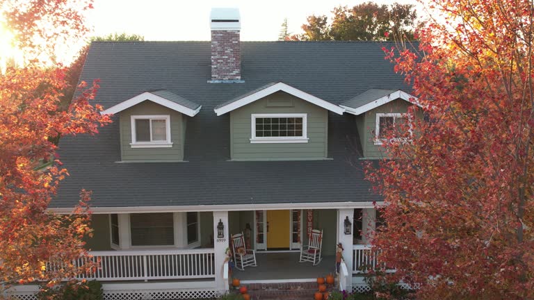 Steel Roofing in El Rancho, NM